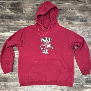Wisconsin Badgers Bucky Hoodie Red Graphic Sweatshirt Mens Medium GUC